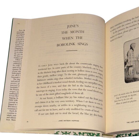 The Lazy Days Of Summer Cookbook By Jane Watson Hopping Hardcover 1995 First Ed - Picture 4 of 5